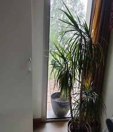 Avec Jardin A Jean D'illac Apartment *